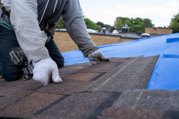 Best Metal Roofing Contractor  in Midfield, AL